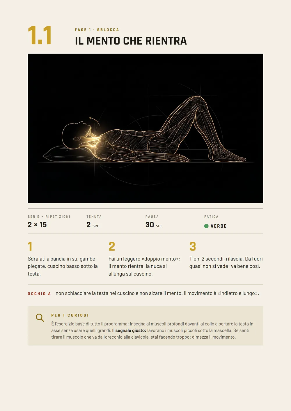 Pagina dell'esercizio 1.1, il mento che rientra: illustrazione a linee d'oro, la dose (2 × 15, tenuta 2 secondi, pausa 30 secondi), i tre passi, la riga «Occhio a» e il riquadro «Per i curiosi».